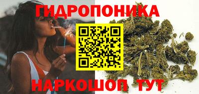 стаф Пенза